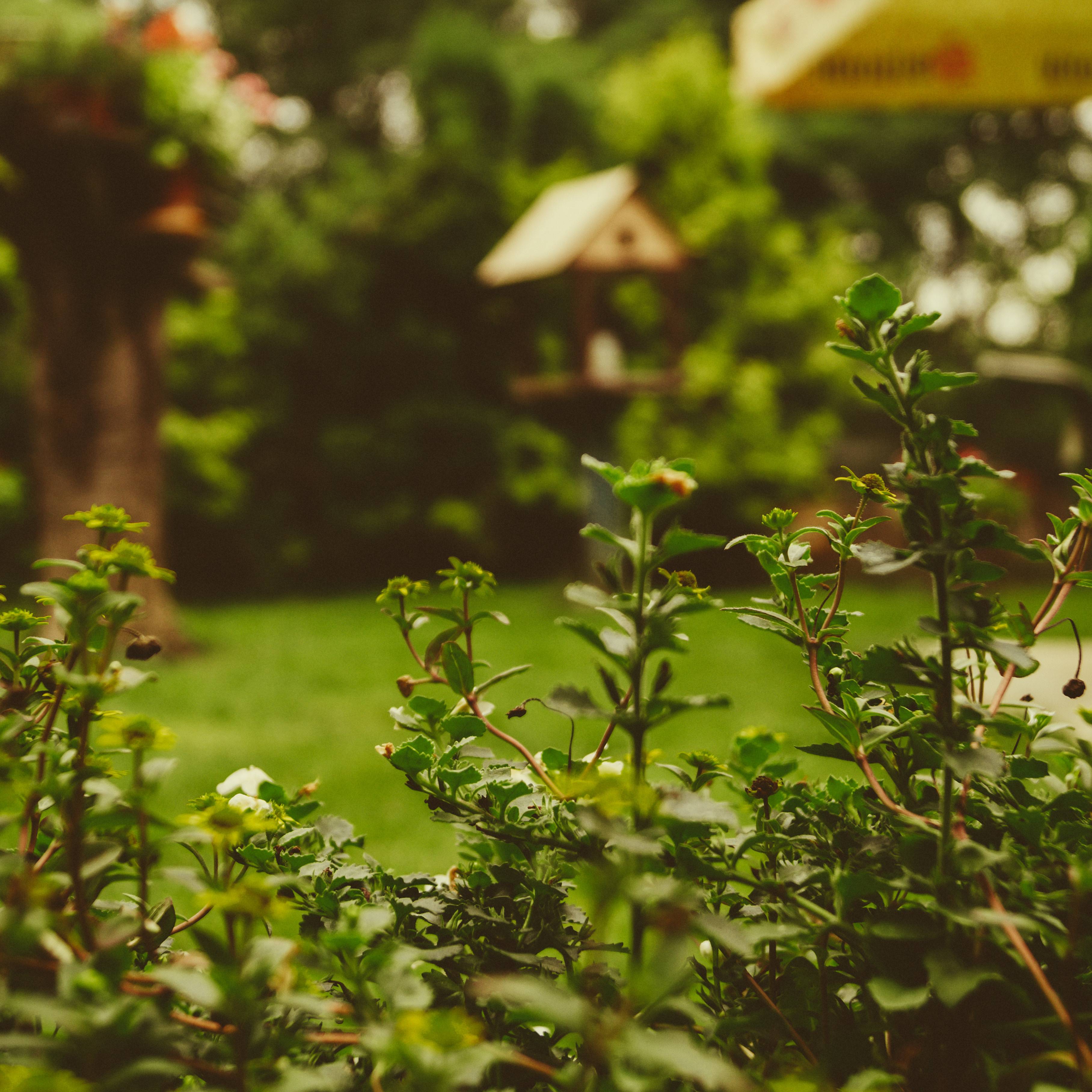 Jardin Jardin